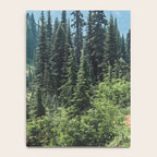 Mount Rainier Classic Mountain Meadow - 129/365 Nature Photography Notebook Gallery Image 4