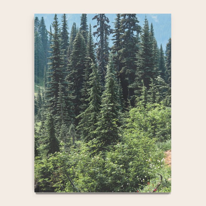 Mount Rainier Classic Mountain Meadow - 129/365 Nature Photography Notebook Gallery Image 4