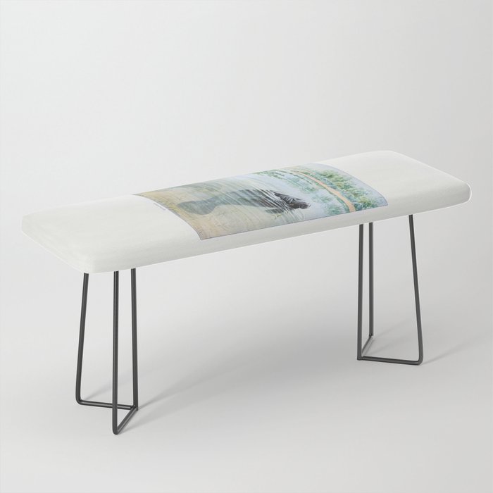 Vintage Florida Manatee Bench Gallery Image 1