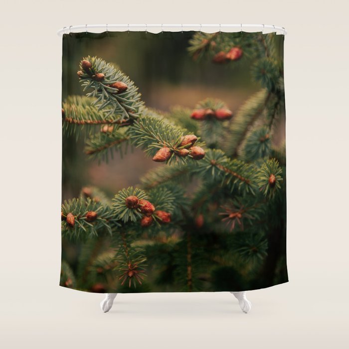 Spruce Tips Shower Curtain Gallery Image 1