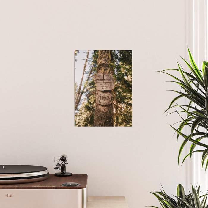 Mt Hood Wilderness Sign Poster Gallery Image 2