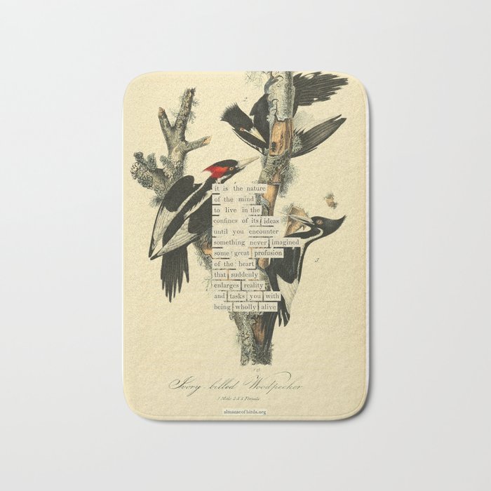 Bird Divinations: Ivory-Billed Woodpecker (about: almanacofbirds.org) Bath Mat Gallery Image 1