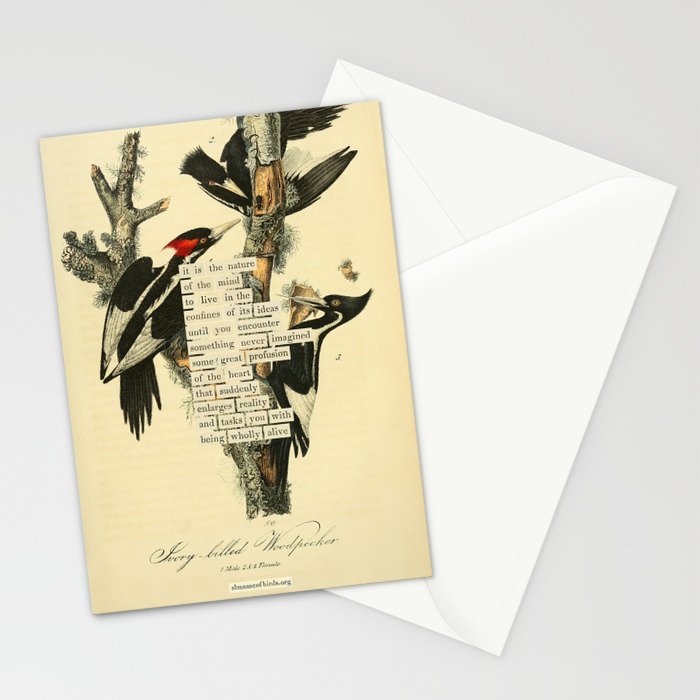 Bird Divinations: Ivory-Billed Woodpecker (about: almanacofbirds.org) Stationery Card Gallery Image 2