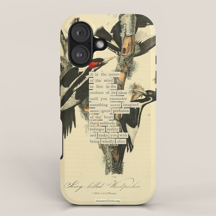Bird Divinations: Ivory-Billed Woodpecker (about: almanacofbirds.org) iPhone Case Gallery Image 1