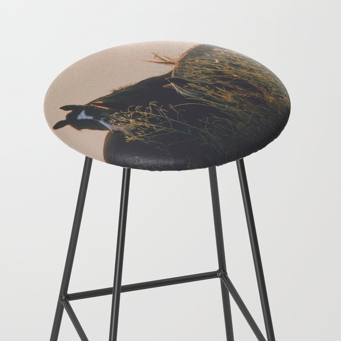 Ears Stool Gallery Image 2
