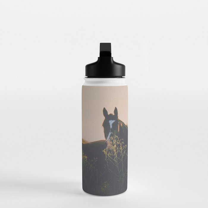 Ears Water Bottle Gallery Image 3