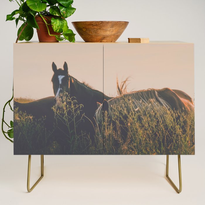 Ears Credenza Gallery Image 1