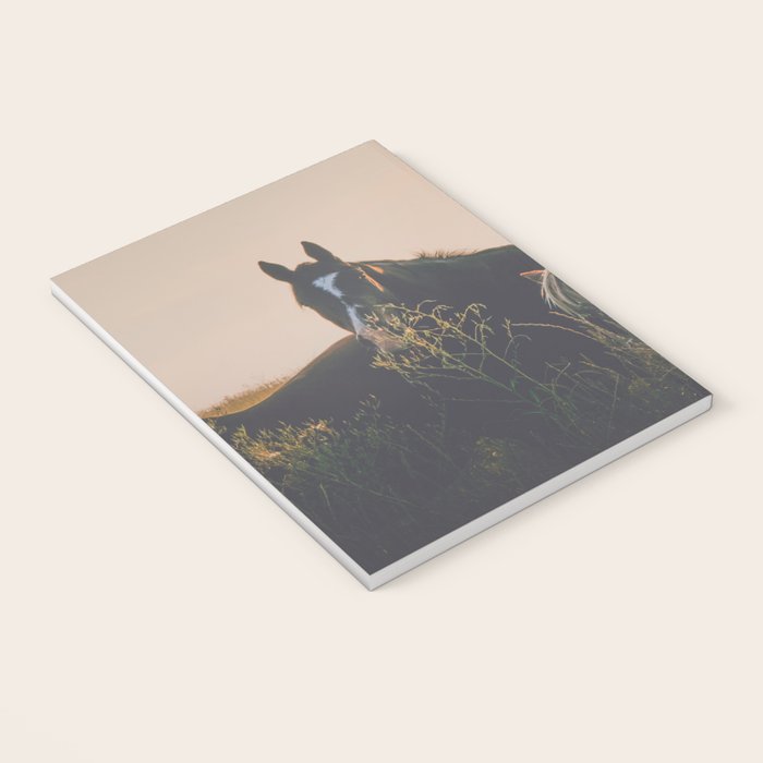 Ears Notebook Gallery Image 3
