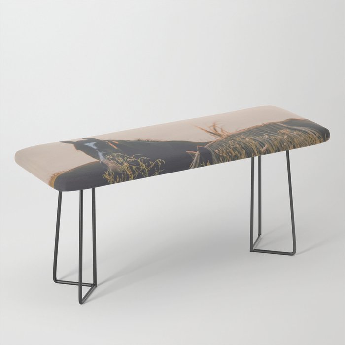 Ears Bench Gallery Image 1