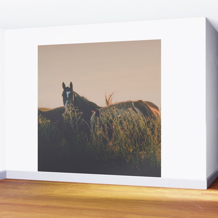 Ears Wall Mural Gallery Image 2