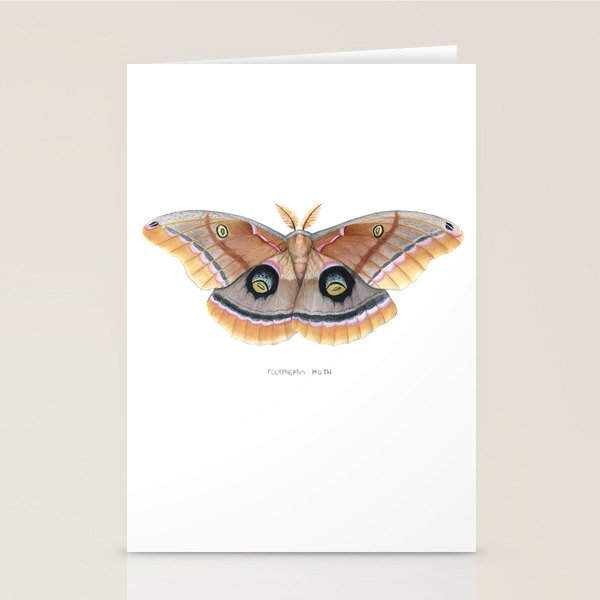 Polyphemus Moth Stationery Card Gallery Image 1