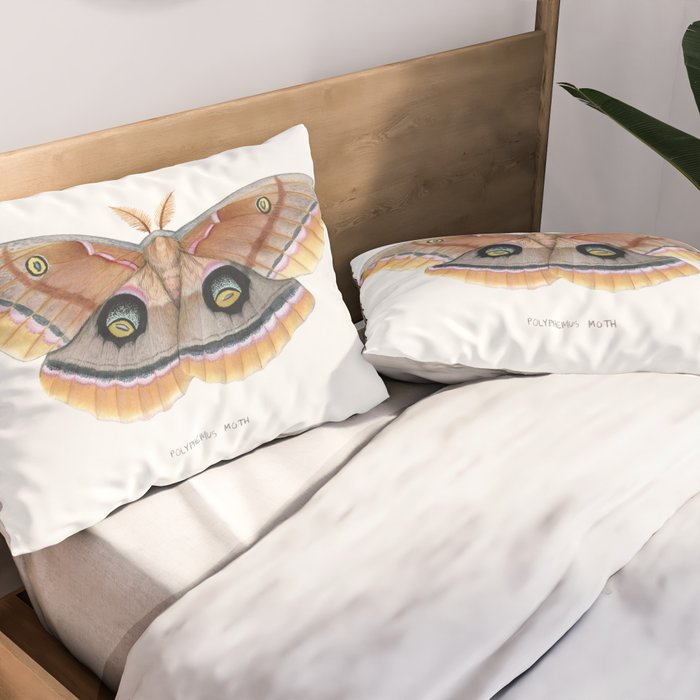 Polyphemus Moth Pillow Sham Gallery Image 2
