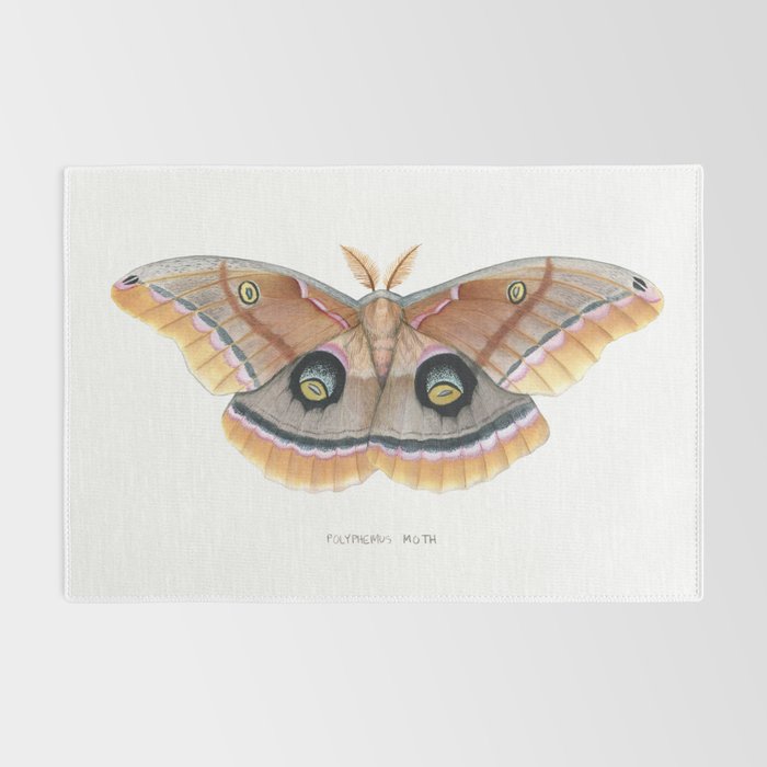 Polyphemus Moth Rug Gallery Image 2
