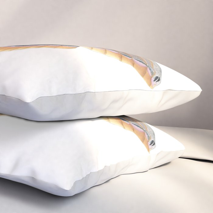Polyphemus Moth Pillow Sham Gallery Image 3