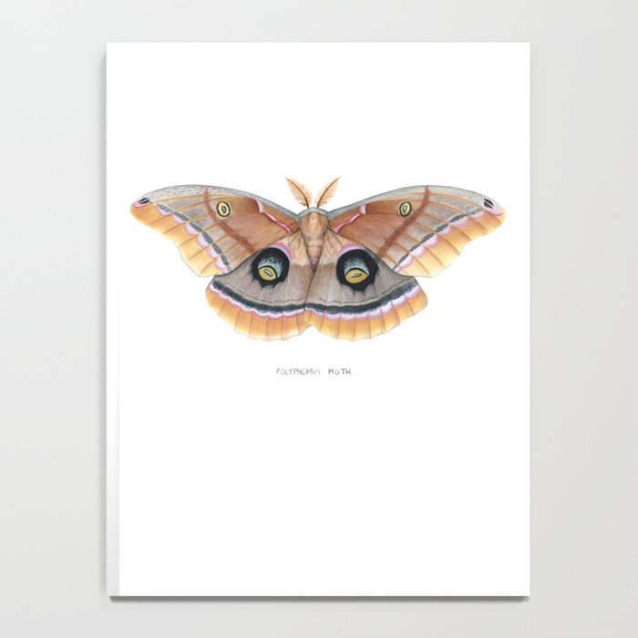Polyphemus Moth Notebook Gallery Image 4