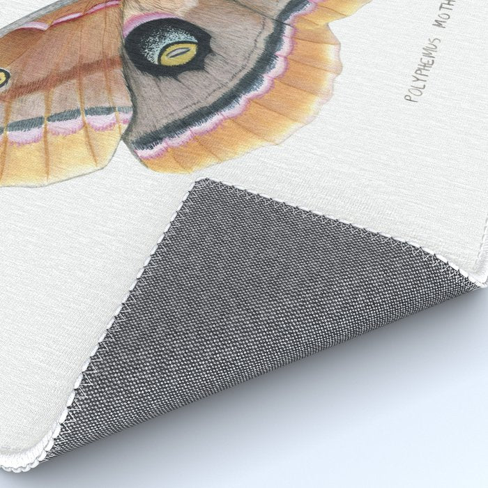 Polyphemus Moth Rug Gallery Image 4