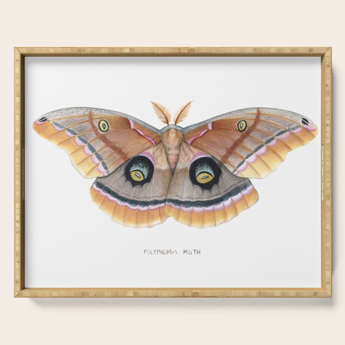 Polyphemus Moth Serving Tray Gallery Image 1