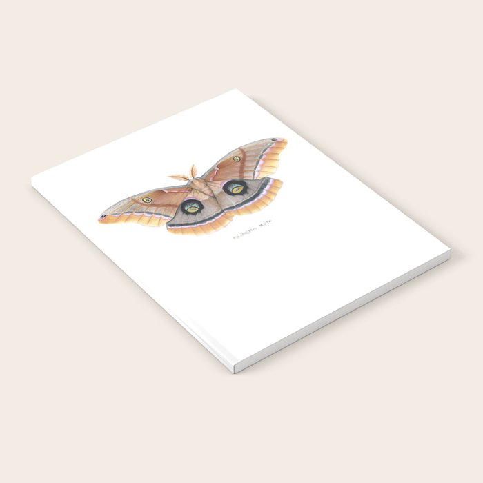 Polyphemus Moth Notebook Gallery Image 1