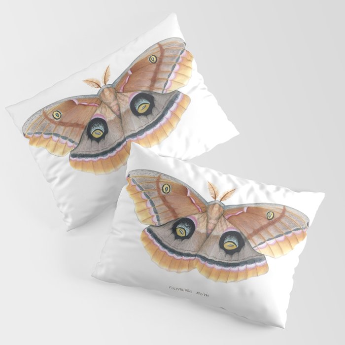 Polyphemus Moth Pillow Sham Gallery Image 1