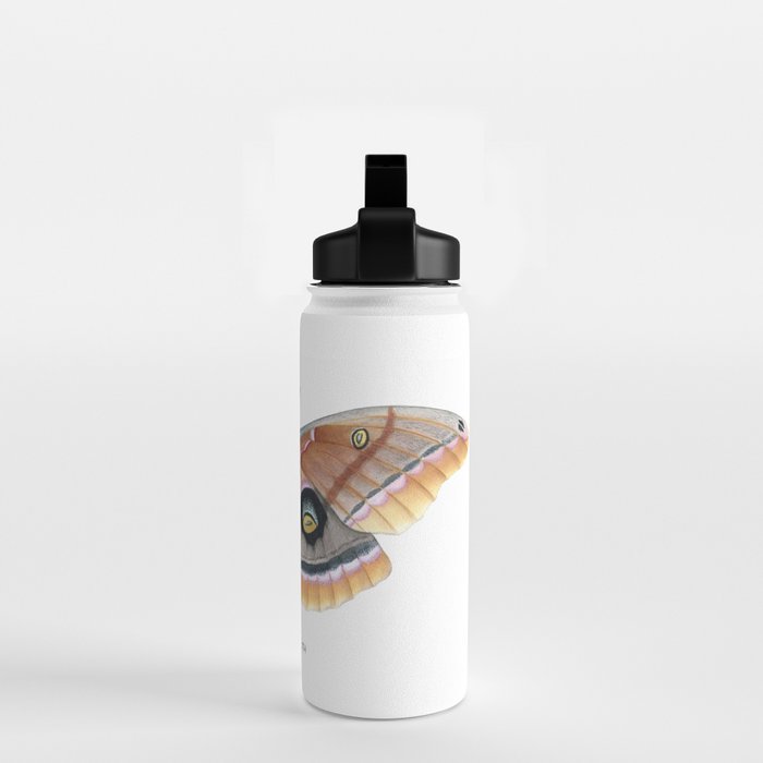 Polyphemus Moth Water Bottle Gallery Image 2