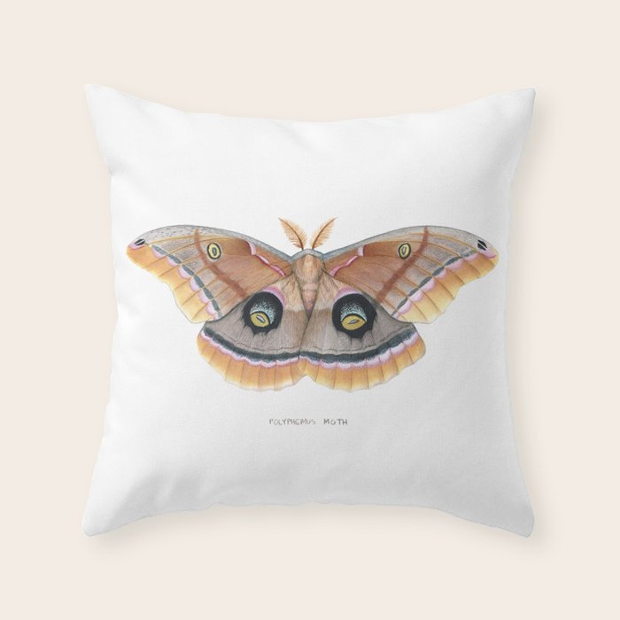 Polyphemus Moth Throw Pillow Gallery Image 6