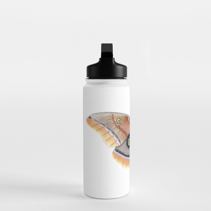 Polyphemus Moth Water Bottle Gallery Image 3