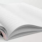 Lightning Bolts Blush Notebook Gallery Image 2