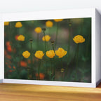Flower Rhythm - Landscape and Nature Photography Wall Mural Gallery Image 2