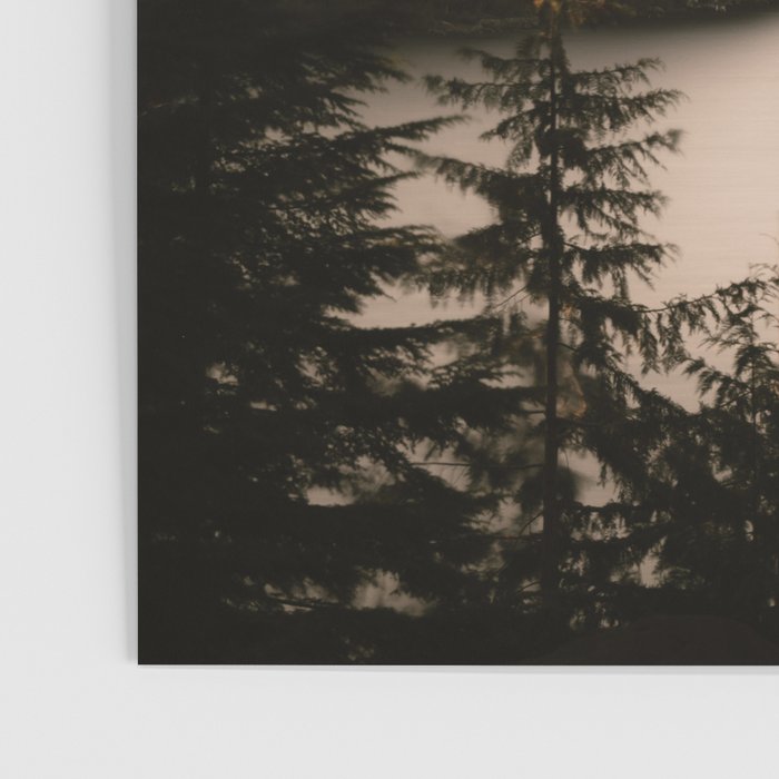 Mountain Wanderlust - Mount Hood Forest Landscape Poster Gallery Image 3