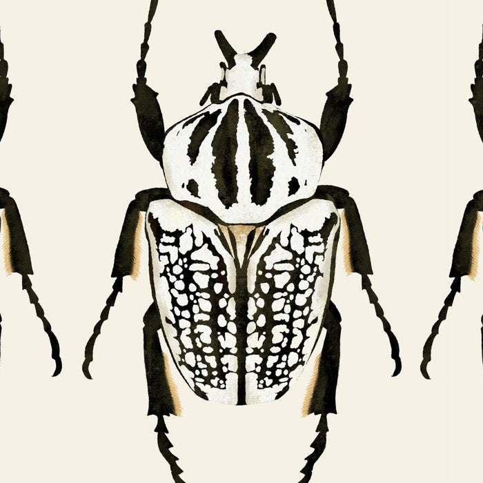  beetle insect Coffee Mug Gallery Image 2