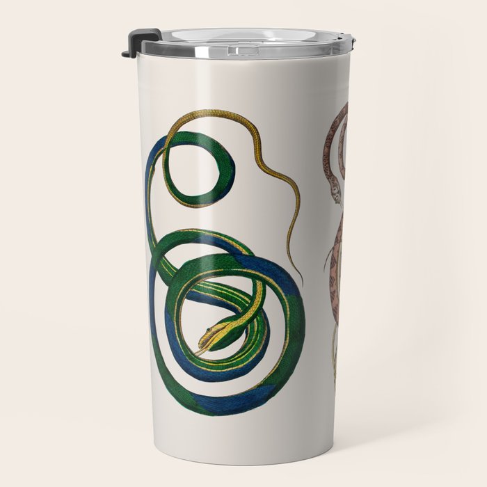 Albertus Seba Three Snakes Illustration  Travel Mug Gallery Image 3