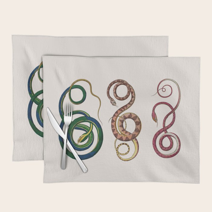 Albertus Seba Three Snakes Illustration  Placemat Gallery Image 1
