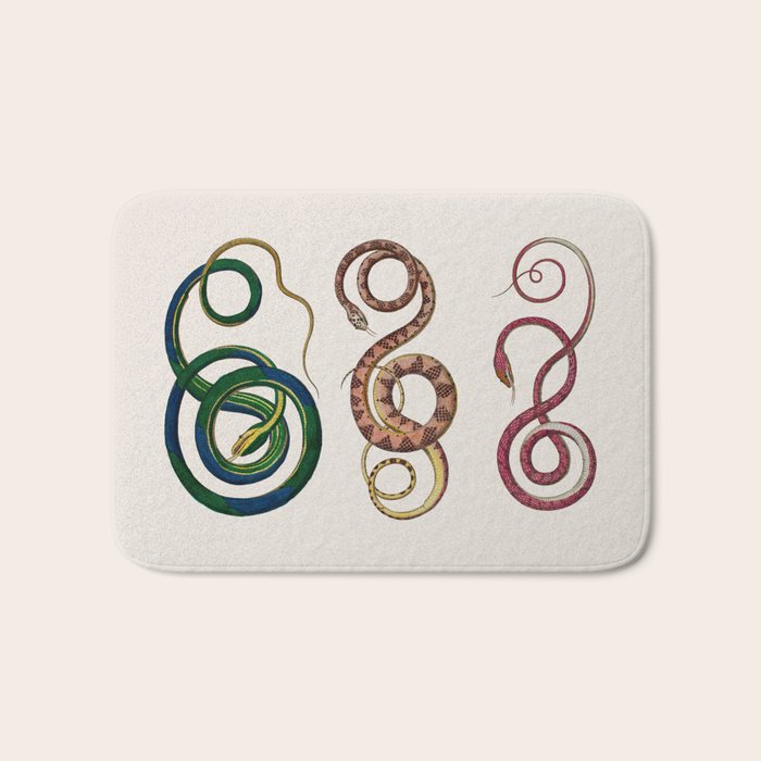 Albertus Seba Three Snakes Illustration  Bath Mat Gallery Image 1