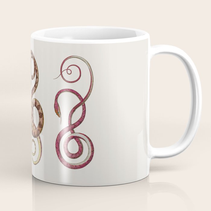 Albertus Seba Three Snakes Illustration  Coffee Mug Gallery Image 1