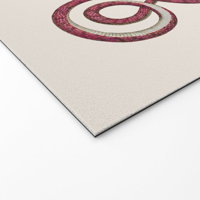 Albertus Seba Three Snakes Illustration  Welcome Mat Gallery Image 2