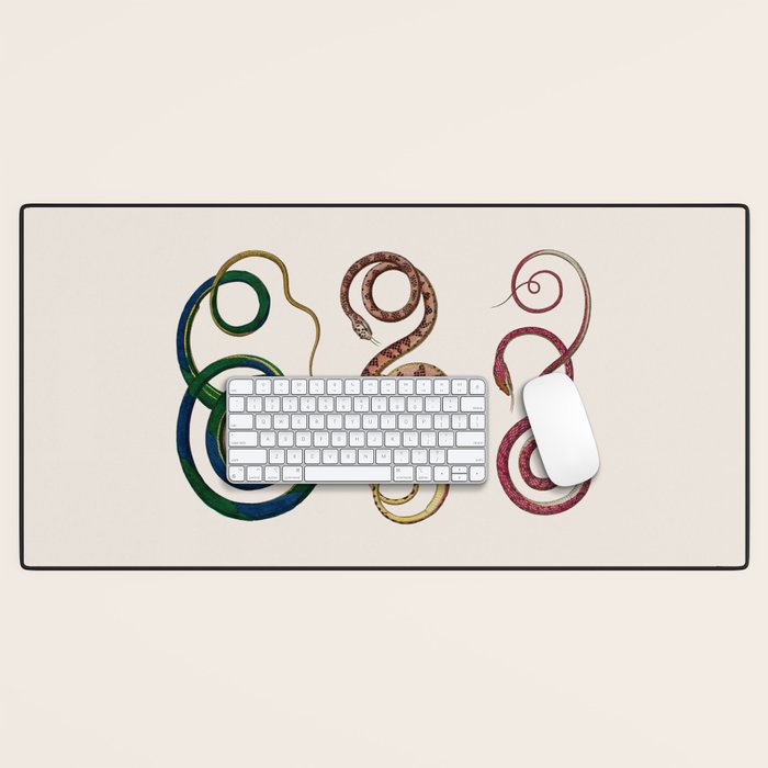 Albertus Seba Three Snakes Illustration  Desk Mat Gallery Image 1