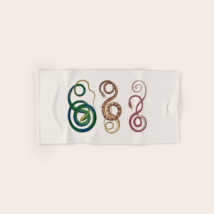 Albertus Seba Three Snakes Illustration  Bath Towel Gallery Image 1