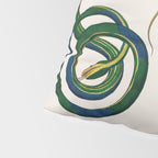 Albertus Seba Three Snakes Illustration  Pillow Sham Gallery Image 4