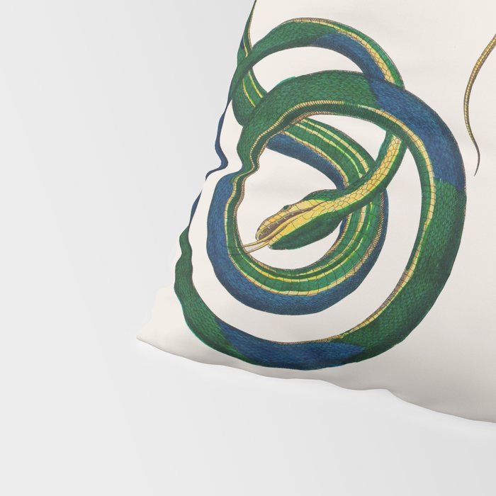 Albertus Seba Three Snakes Illustration  Pillow Sham Gallery Image 4