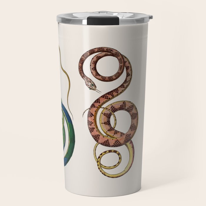 Albertus Seba Three Snakes Illustration  Travel Mug Gallery Image 1