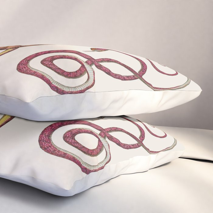 Albertus Seba Three Snakes Illustration  Pillow Sham Gallery Image 3