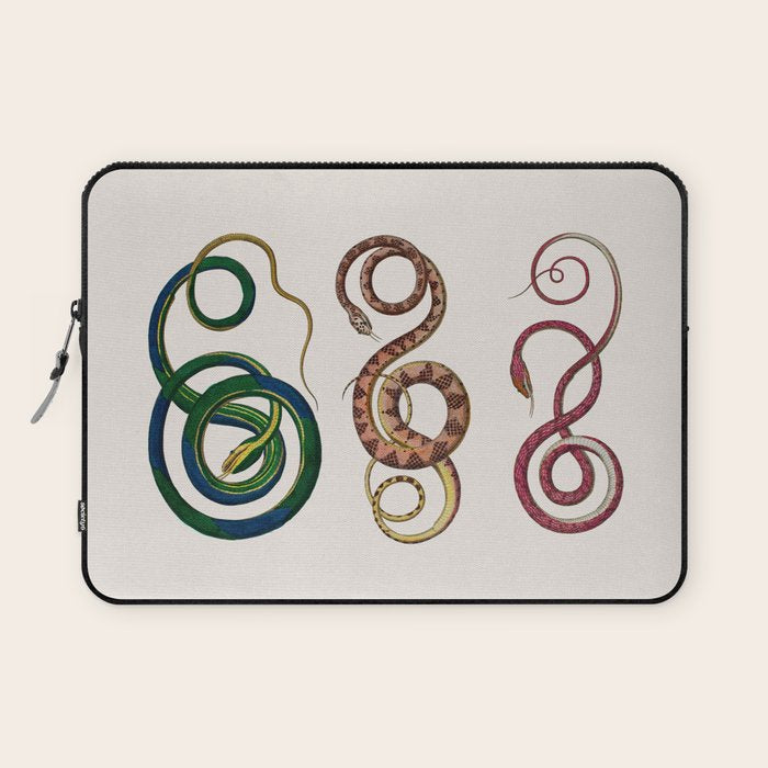 Albertus Seba Three Snakes Illustration  Laptop Sleeve Gallery Image 1