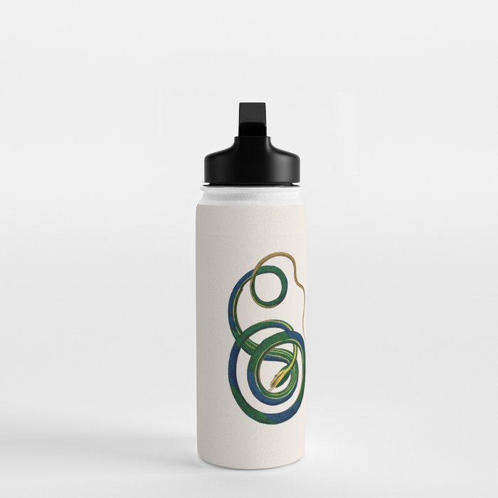 Albertus Seba Three Snakes Illustration  Water Bottle Gallery Image 3