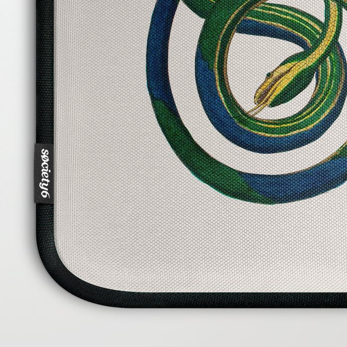 Albertus Seba Three Snakes Illustration  Laptop Sleeve Gallery Image 3