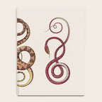 Albertus Seba Three Snakes Illustration  Notebook Gallery Image 4