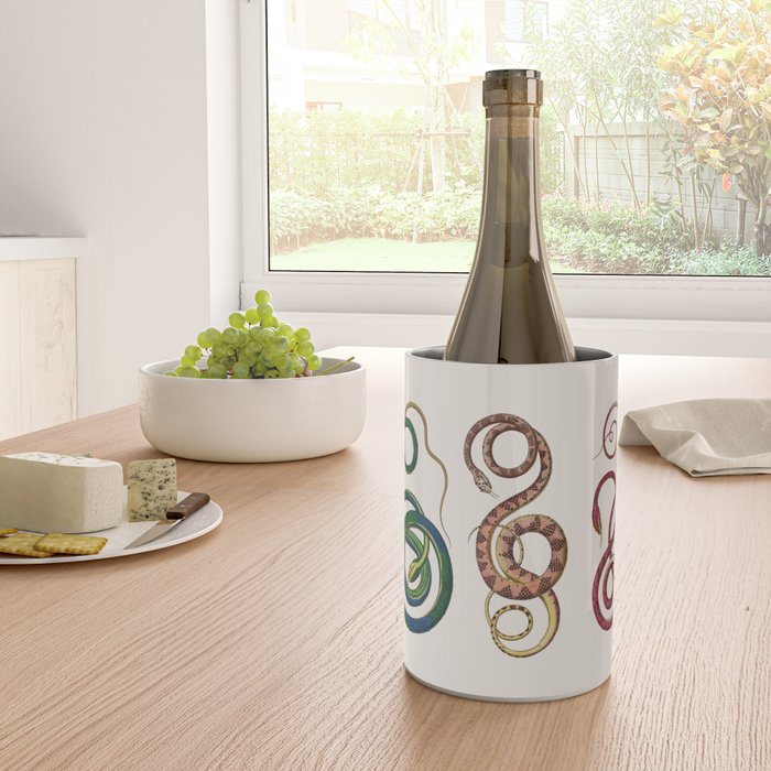 Albertus Seba Three Snakes Illustration  Wine Chiller Gallery Image 4