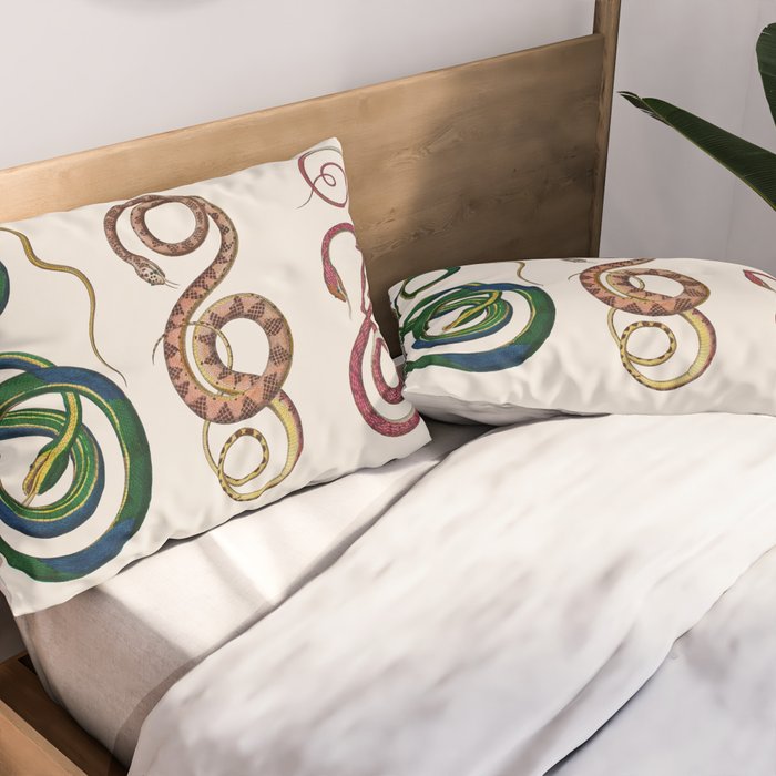 Albertus Seba Three Snakes Illustration  Pillow Sham Gallery Image 2