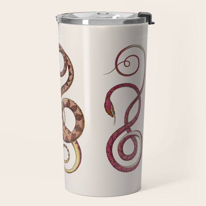 Albertus Seba Three Snakes Illustration  Travel Mug Gallery Image 2
