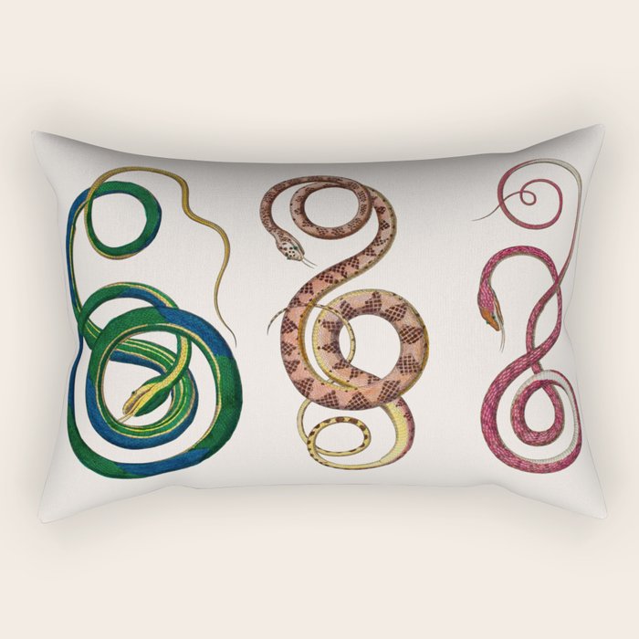 Albertus Seba Three Snakes Illustration  Rectangular Pillow Gallery Image 1