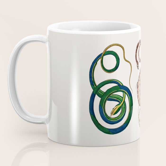 Albertus Seba Three Snakes Illustration  Coffee Mug Gallery Image 3